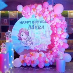 Princess Sofia Theme Birthday Party Decorations In Bangalore