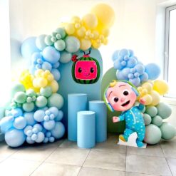 Cocomelon Birthday Theme Decoration In Bangalore