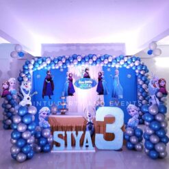 Frozen Theme Birthday Party Decorations In Bangalore