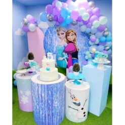 Frozen Themed Birthday Decorations In Bangalore