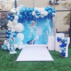 Frozen Themed Birthday Party Decoration In Bangalore