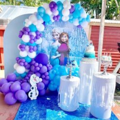 Frozen Themed Birthday Party Decorations In Bangalore