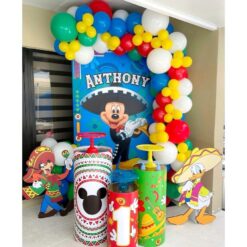 Mickey Mouse Themed Birthday Party Decoration In Bangalore