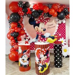 Minnie Mouse Themed Birthday Party Decoration In Bangalore