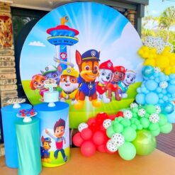 Paw Patrol Theme Birthday Party Decorations In Bangalore