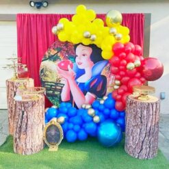 Princess Snow White Theme Birthday Decoration In Bangalore