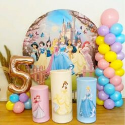 Princess Theme Decorations For Birthday Party In Bangalore