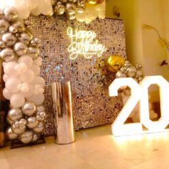Shimmer Backdrop Decoration For 20th Birthday In Bangalore