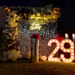 Shimmer Backdrop Decoration For 29th Birthday In Bangalore