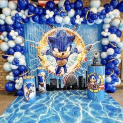 Sonic Theme Birthday Party Decorations In Bangalore
