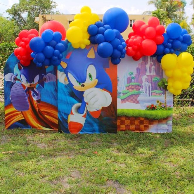 Sonic Themed Birthday Party Decorations In Bangalore - Chintu Party And ...