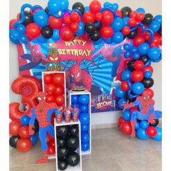 Spiderman Themed Birthday Party Decorations In Bangalore