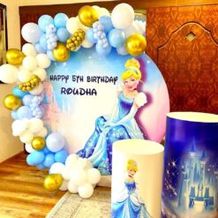 Cinderella Theme Birthday Party Decorations In Bangalore