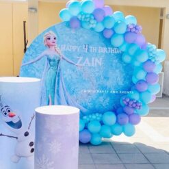 Frozen Theme Birthday Decorations In Bangalore