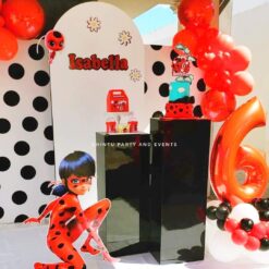 Ladybug Theme Birthday Party Decoration In Bangalore