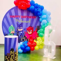 PJ Masks Themed Birthday Party Decorations In Bangalore