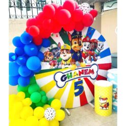 Paw Patrol Theme 5th Birthday Party Decorations In Bangalore