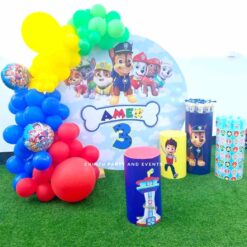 Paw Patrol Theme Decorations For Birthday In Bangalore