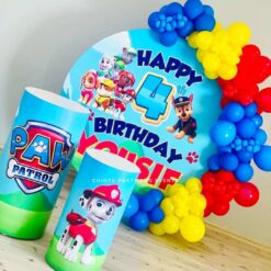 Paw Patrol Themed Birthday Party Decoration In Bangalore