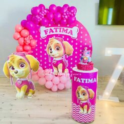 Skye Paw Patrol Theme Birthday Party Decorations In Bangalore