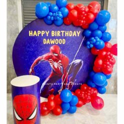 Spiderman Theme Birthday Decorations In Bangalore