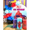 Spiderman Themed Birthday Event Decorations In Bangalore