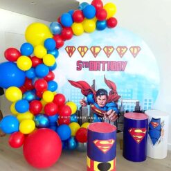 Superman Themed Birthday Party Decorations In Bangalore