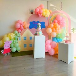Themed Peppa Pig Birthday Party Decoration In Bangalore