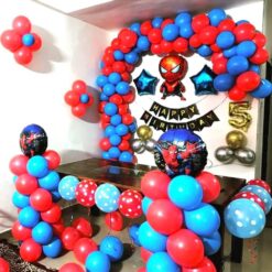 Simple Balloon Decoration For Kids Birthday Party In Bangalore