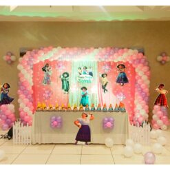 Encanto Theme Birthday Decorations In Bangalore