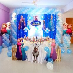 Frozen Theme Birthday Curtain Decoration In Bangalore
