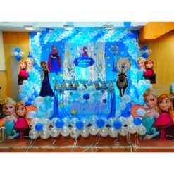 Frozen Theme Birthday Curtain Decorations In Bangalore