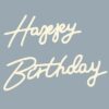 Happy Birthday Neon Light For Rent In Bangalore
