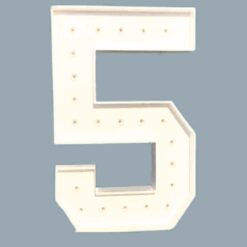 Number 5 LED Marquee Light For Rent In Bangalore