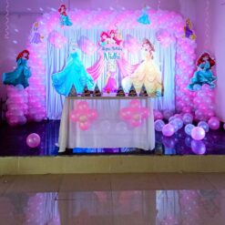 Princess Theme 1st Birthday Decorations In Bangalore