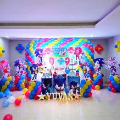 Sonic Theme Birthday Curtain Decorations In Bangalore