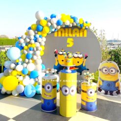 Minions Theme Birthday Party Decorations