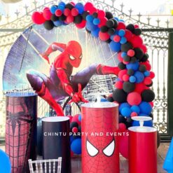 Spiderman Themed Birthday Decorations