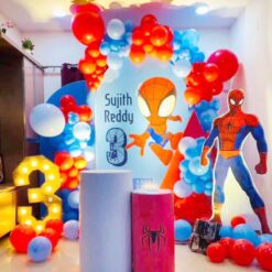 Spiderman Themed Birthday Party Decorations