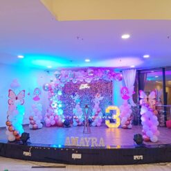 Butterfly Fairy Theme Birthday Decorations