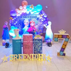 Frozen Theme Birthday Decorations