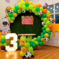Jungle Theme 3rd Birthday Decorations