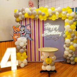 Tom And Jerry Theme Birthday Decorations