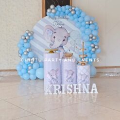 Baby Elephant Theme 1st Birthday Decorations