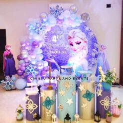 Frozen Themed Birthday Decorations