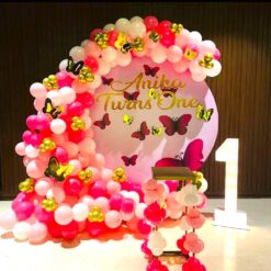 Butterfly Theme Birthday Decorations