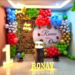 Cocomelon Theme 1st Birthday Decoration