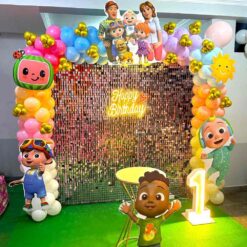 Cocomelon Themed 1st Birthday Decorations