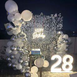 Shimmer Backdrop Birthday Decoration