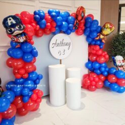 Avengers Birthday Decorations